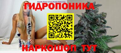 мдпв Рузаевка
