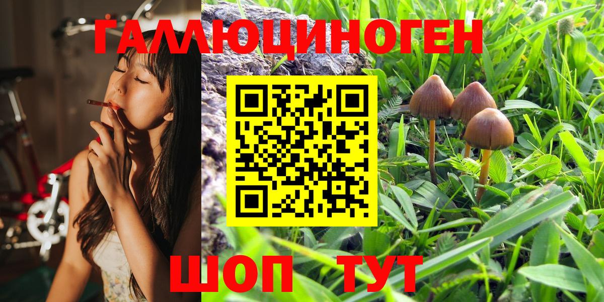 Родники  Галлюциногенные грибы MAGIC MUSHROOMS  Вход с VPN 